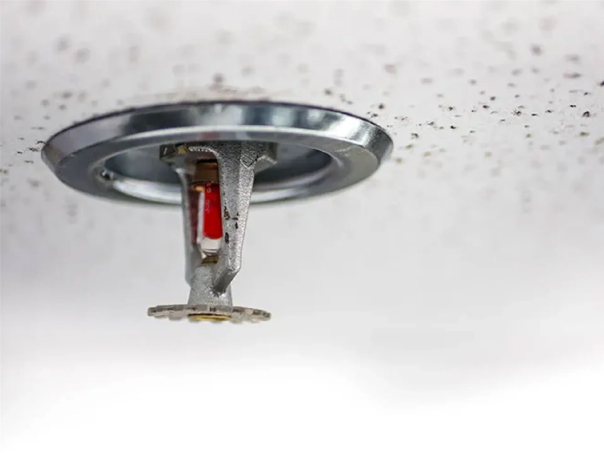 Endüstriyel Tesislerde Sprinkler Sistemlerinin Önemi